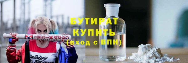 шишки Арсеньев
