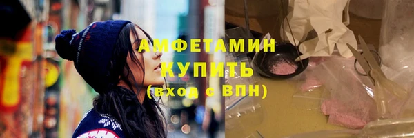 шишки Арсеньев