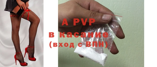 шишки Арсеньев