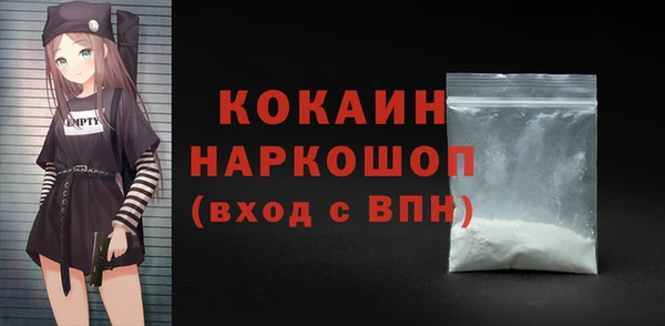 шишки Арсеньев