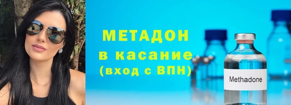 шишки Арсеньев
