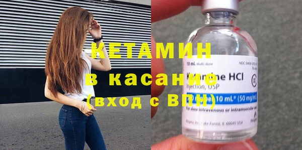 шишки Арсеньев